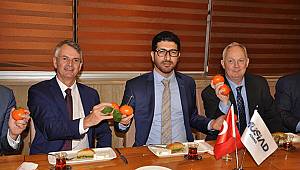 Fas’tan değil bizden alın