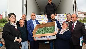Başkan Karalar’dan köylüye domates fidesi desteği