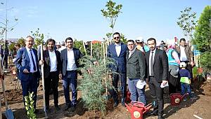 MÜSİAD Adana'dan 11 bin fidan