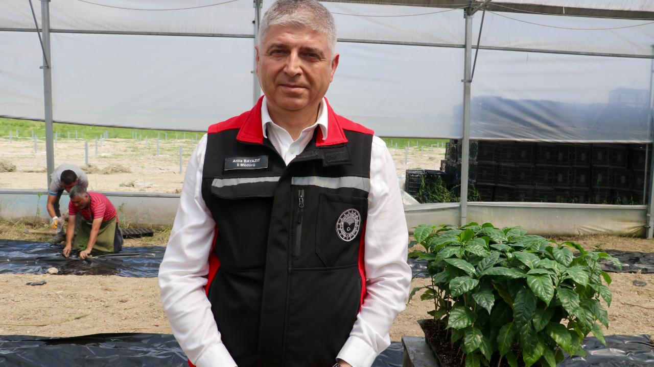 Otomatik Taslak