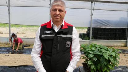 Adana’da kahve de yetiştirilecek
