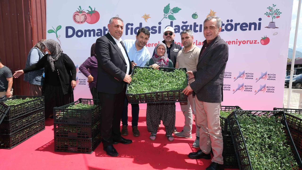 Otomatik Taslak