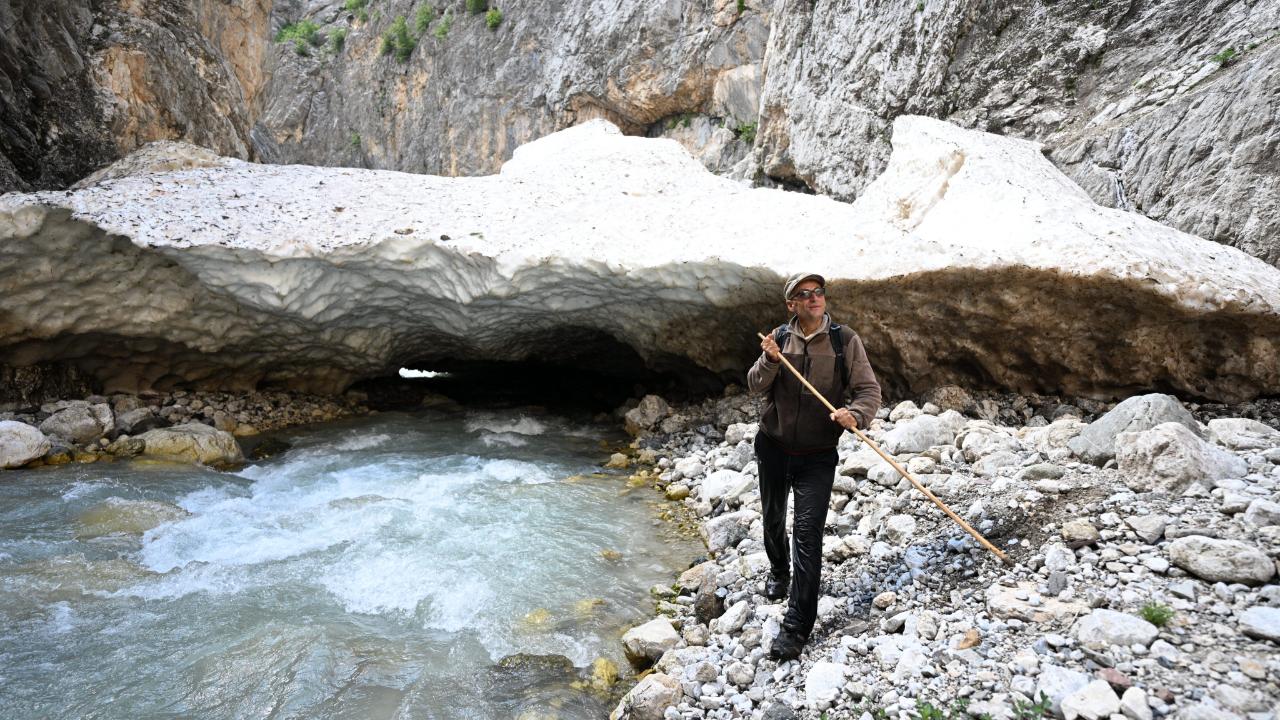 Otomatik Taslak